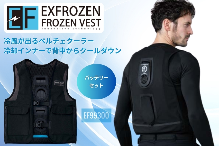 ペルチェクーラー