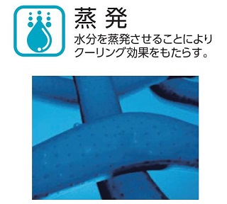 汗蒸発機能
