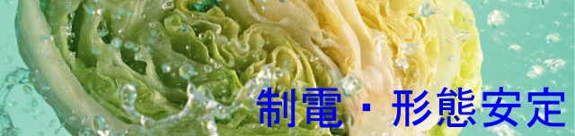 制電・形態安定