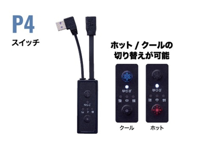 P4スイッチ