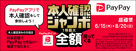 paypyay本人確認キャンペーンお得電子マネー